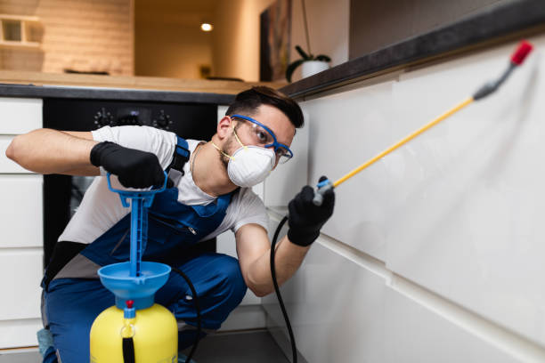 Best Pest Prevention Services  in Queen City, TX