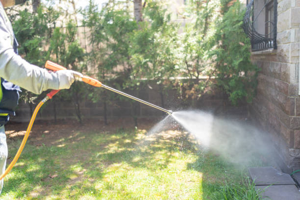 Reliable Queen City, TX Pest Control Solutions