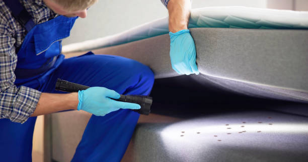 Best Best Pest Control Companies  in Queen City, TX