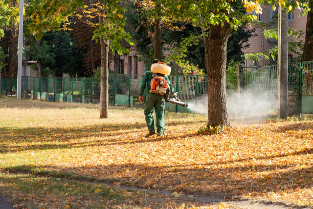 Pest Control Cost in Queen City, TX