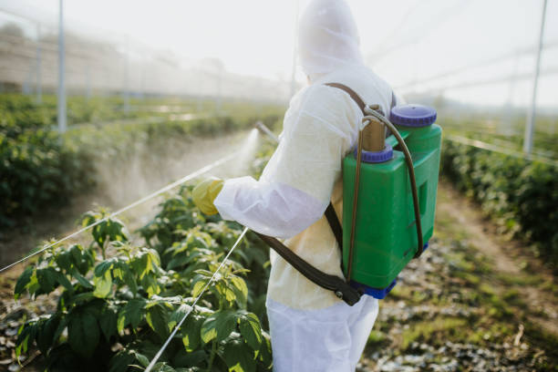Best Pest Control for Businesses  in Queen City, TX